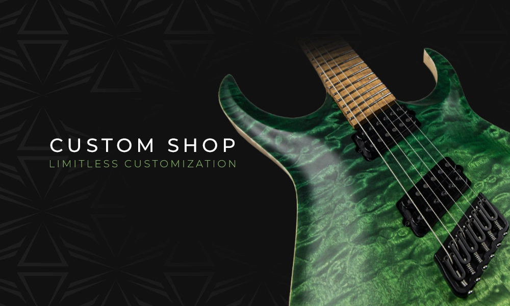 Mortoro Guitars Free Flight Custom（dragonfly 【ドラゴンフライ 