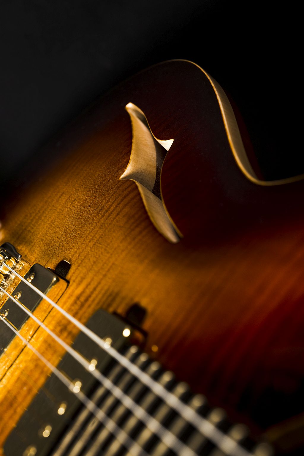 リンブ・サントス様専用】Aviator Guitars Night Hawk6 楽器/器材 